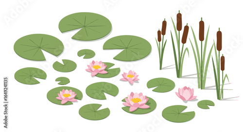 Vibrant Pond Flora with Water Lilies and Cattails, Pink Lotus, Lily Pads, Aquatic, Nature, Botanical, Vector Illustration