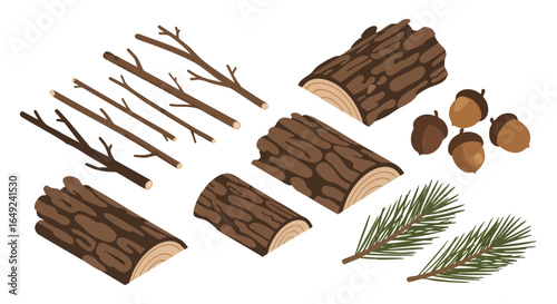 Forest wood branches acorns pine needles, Logs, Sticks, Acorns, Pine, Woodland, Nature, Elements