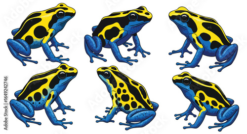 Vibrant Blue and Yellow Poison Dart Frogs Illustrations, Blue, Yellow, Poison Dart Frog, Amphibian, Tropical, Wildlife, Vector, Isolated