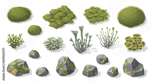 Top Down Isometric Game Environment Assets Vector, Moss, Lichen, Rocks, Nature, Plants, Terrain, Stylized