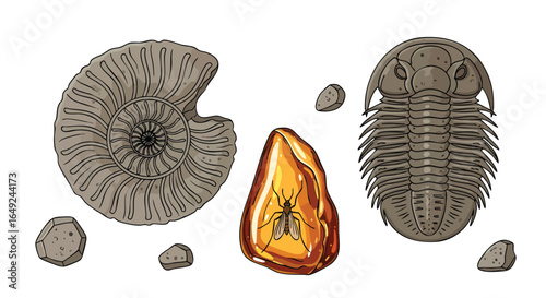 Collection of Detailed Cartoon Fossils and Amber Stone, Ammonite, Trilobite, Amber, Prehistoric, Extinct