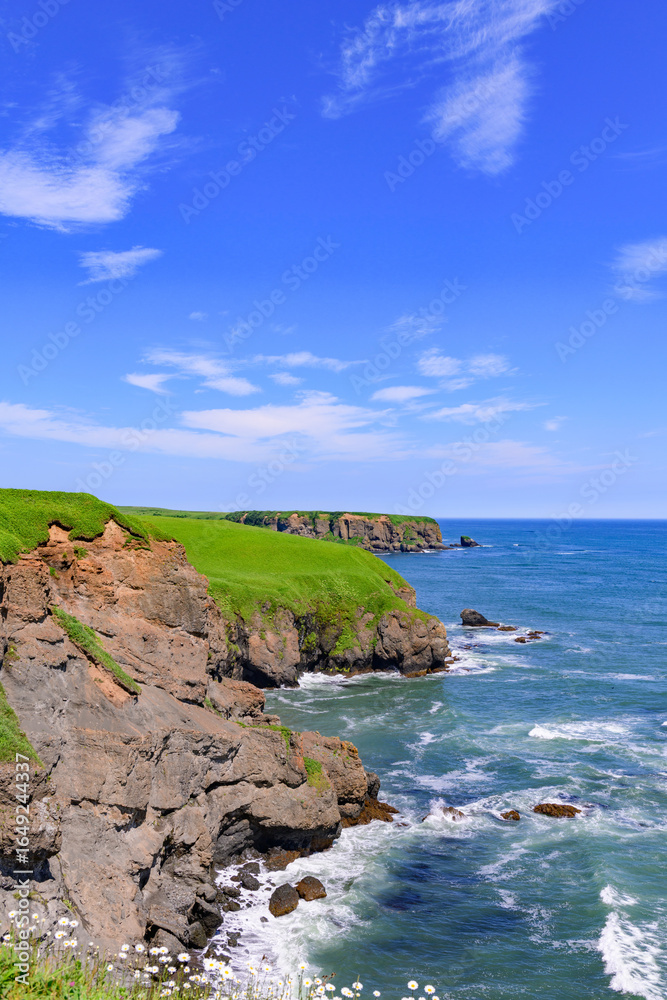 Fototapeta premium 北海道浜中町、琵琶瀬から望む嶮暮帰島（けんぼっきとう）。7月の青空と太平洋の青い海が広がる爽やかな夏の風景。澄み切った空気と美しい水平線が魅力的な景色