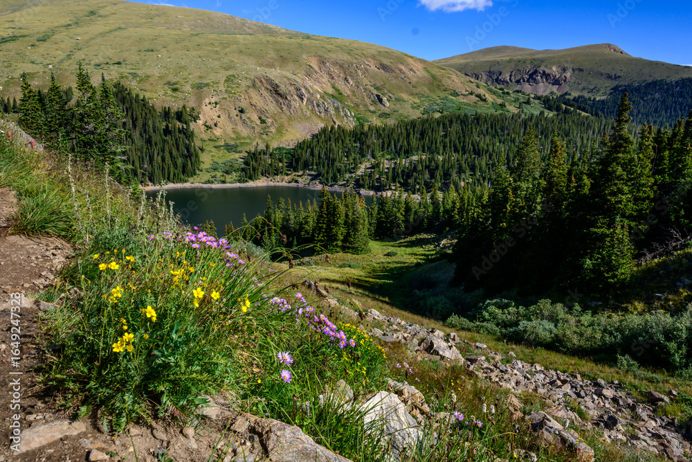 Obraz premium Picturesque alpine Naylor Lake nestled in the Colorado Rocky Mountains. Forested shores meet wildflower meadows, a reminder of the state's natural beauty in the Rockies.