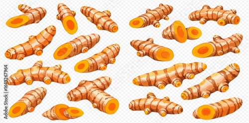 A collection of fresh turmeric roots, shown whole, halved, and sliced to reveal their vibrant orange interior.