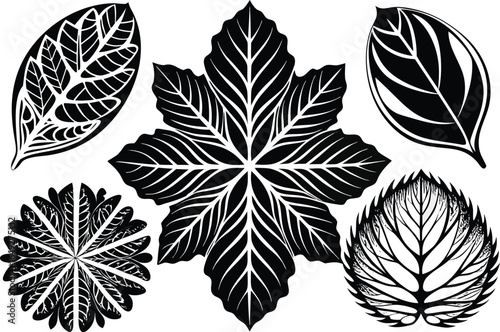 Minimalist black-and-white leaf set featuring four stylized botanical designs