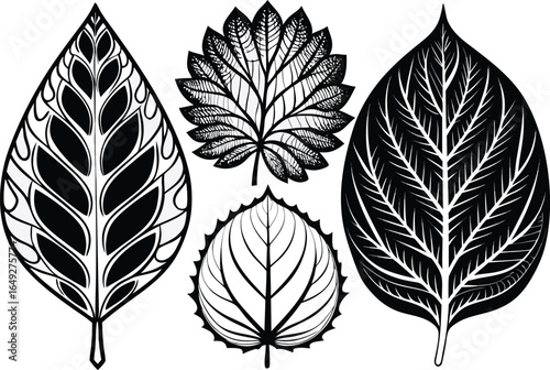 Minimalist black-and-white leaf set featuring four stylized botanical designs