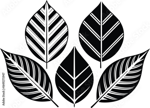 Minimalist black-and-white leaf set featuring four stylized botanical designs