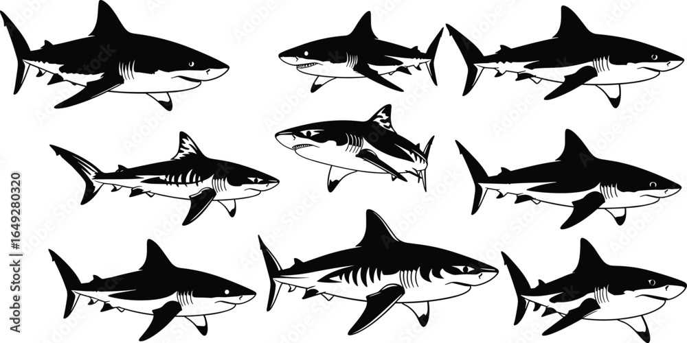 Fototapeta premium Black and white shark illustrations, stylized shark drawings, cartoon shark anatomy, marine predator sketches, ocean wildlife art, shark fins, gills