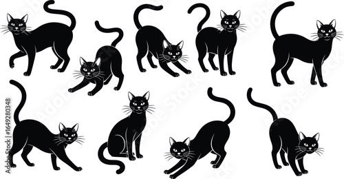 Black cat silhouettes, feline pose illustration, walking cat vector, stretching pet graphic, sitting cat clipart, white accent whiskers, animal stance art