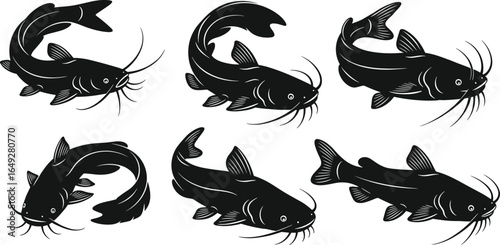 Catfish illustration set, black vector fish, whiskers barbels detail, aquatic animal design, freshwater species, stylized poses, fins anatomy artwork