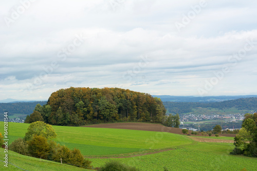 Beautiful group of trees on the summer day in Switzerland. Green European valley with mountains on the background with cloudy sky