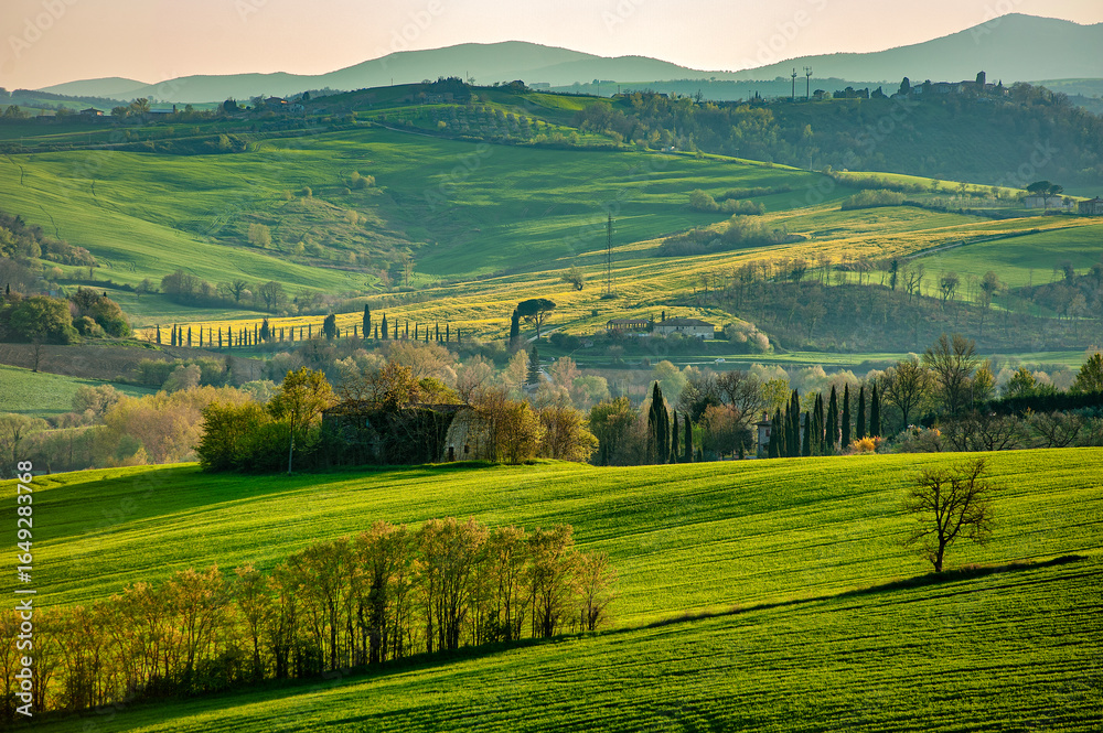 Naklejka premium Autumn countryside in Massa Martana, Umbria, Italy, with rolling green fields, distant hills, cypress rows, and golden sunlight over rural landscapes.