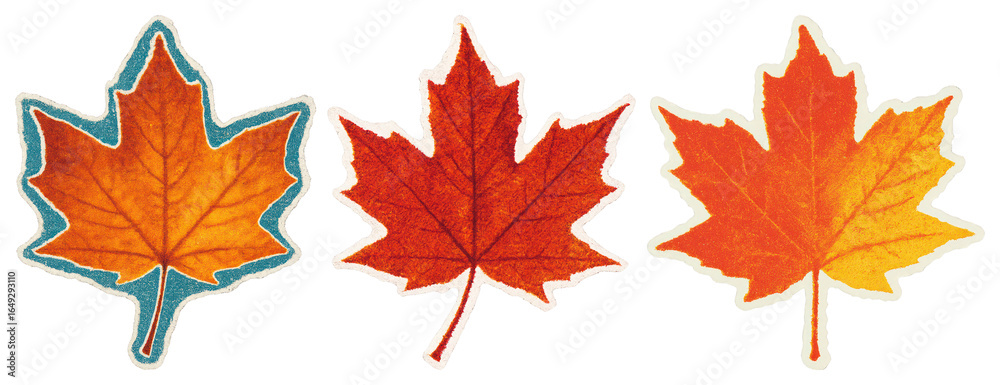 Obraz premium PNG Vibrant autumn maple leaves illustration, element set on transparent background