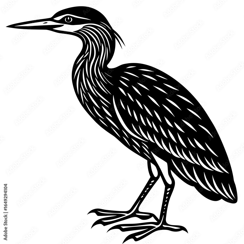 Fototapeta premium bittern silhouette victor black