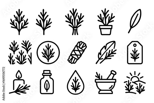 Herbal line art set: essential oils, natural remedies, aromatherapy icons