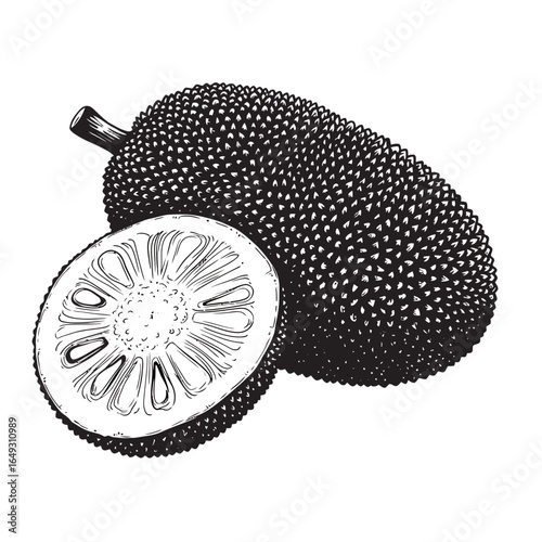 black and white silhouette vector of jackfruit on white background