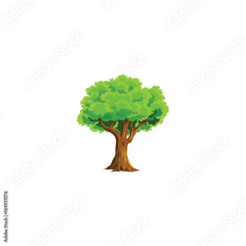 Various tree vectors. Forest and nature concept. Collection of different tree symbols. Education and training poster design. Vector drawn for plant and tree presentation