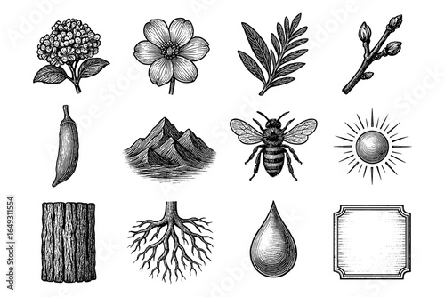 Exquisite hand drawn nature elements collection featuring plants, mountains, and insects