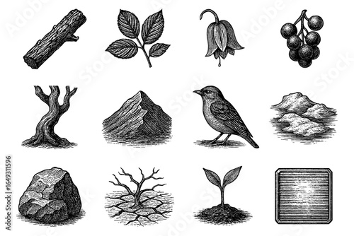 Hand drawn nature elements: trees, animals, plants, mountains, and fruits