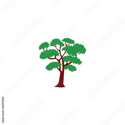 Various tree vectors. Forest and nature concept. Collection of different tree symbols. Education and training poster design. Vector drawn for plant and tree presentation