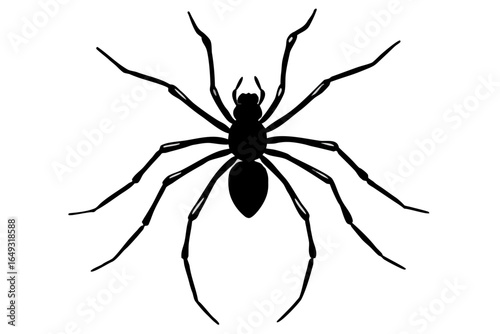 A solitary black spider, a fascinating arachnid of nature, is perfectly isolated on a white background, a potentially scary sight for those with arachnophobia