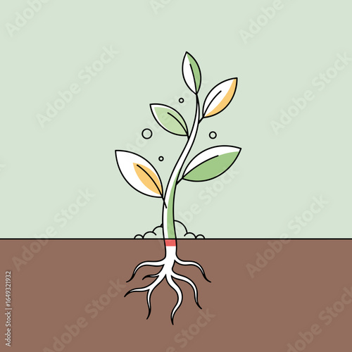 An illustration of a small plant growing from the soil showing its roots developing underground with leaves reaching towards the sky