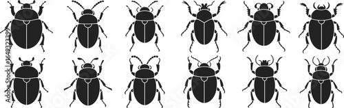 Set of black silhouette beetles, insect icons collection, entomology graphic vector, bug illustrations, isolated bugs design for educational purposes