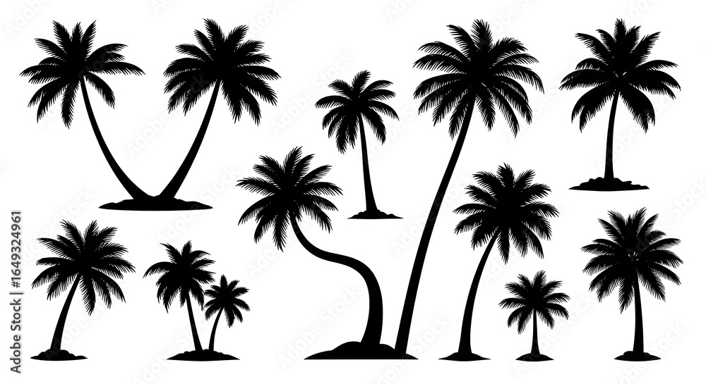 Fototapeta premium Assortment of Black Silhouette Palm Trees with Varied Trunk Shapes and Frond Styles tropical beach