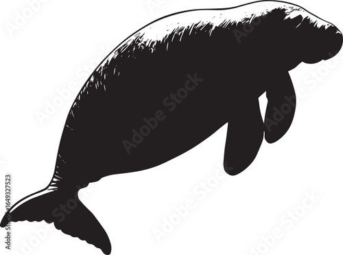 Manatee Floating Peacefully Body at rest, flippers extended as it gently drifts along the water's surface. Full-length silhouette black vector design.
