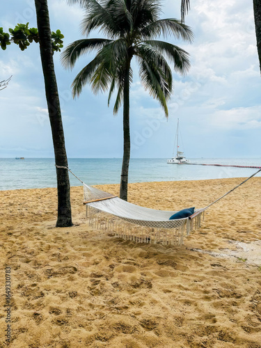 Wall Mural Tranquil hammock embrace between swaying palms, evokes languid Summer Solstice s