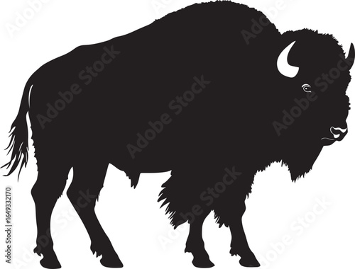Bison Charging Head down, body leaning forward, tail raised high, black silhouette vector.