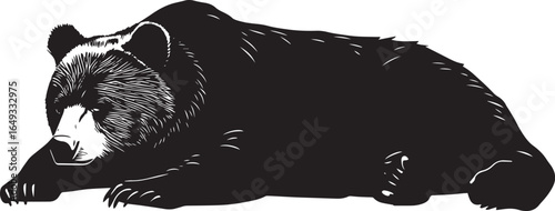 Bear Resting Lying on its belly, legs sprawled, head resting on paws. full length silhouette black vector illustration
