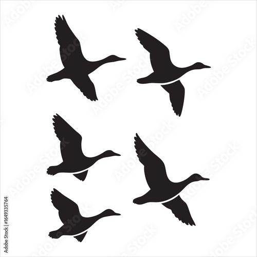 Black silhouette duck illustration set in dynamic flying poses ideal for nature-themed vector packs