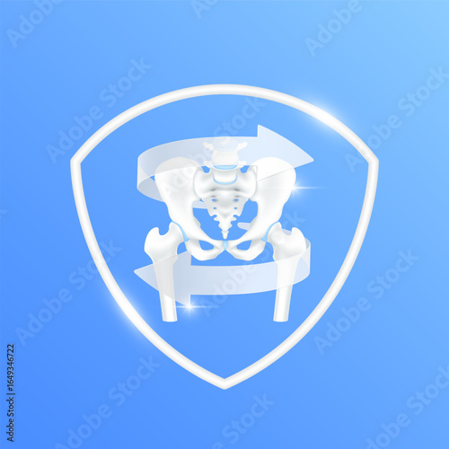 Arrows revolve around pelvis bone cartilage joint within white shield frame modern on blue background. Human anatomy organ. Medical health care and protection concept. 3D Vector EPS10.