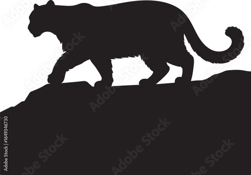 Powerful panther stalks across rocky terrain silhouette