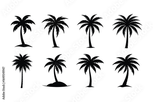 Black Palm Tree silhouette vector, Set of Palm Tree silhouette 