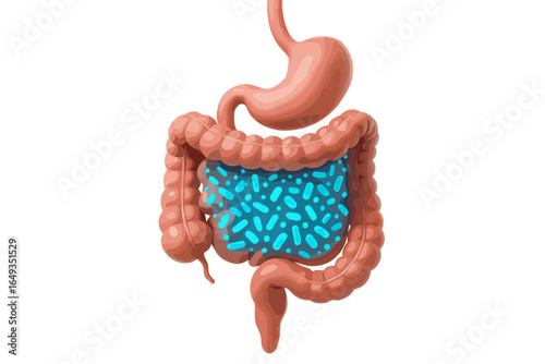 Illustration of gut microbiota, symbol of digestive health. Suitable for use in projects related to medicine, health, nutrition.

