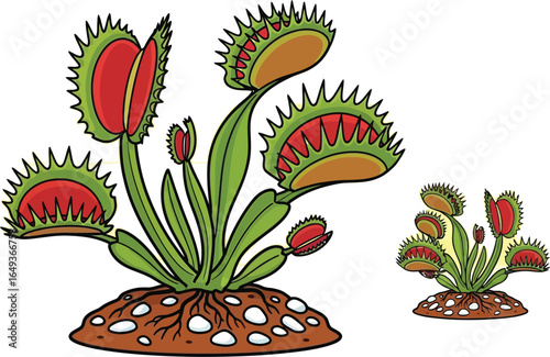 Cartoon Venus Flytrap with Open Traps VECTOR