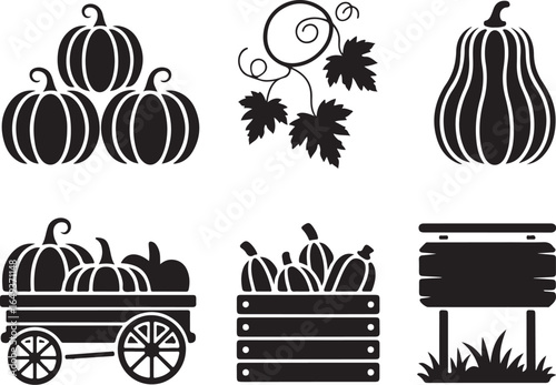 Fall harvest pumpkins and gourds for autumn design projects