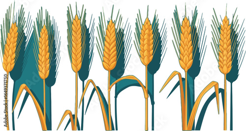 Golden wheat stalks, harvest illustration VECTOR