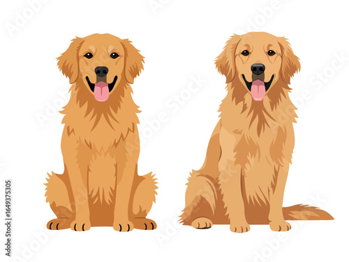 Golden retriever dog flat vector illustration