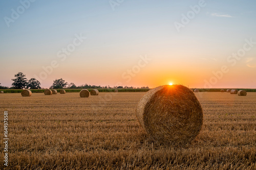 Susnset on field after harvest XII