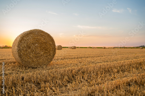 Susnset on field after harvest IX