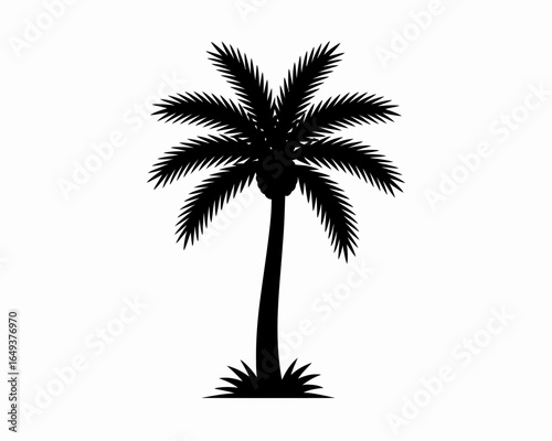 A single palm tree silhouette with large fronds isolated on white background