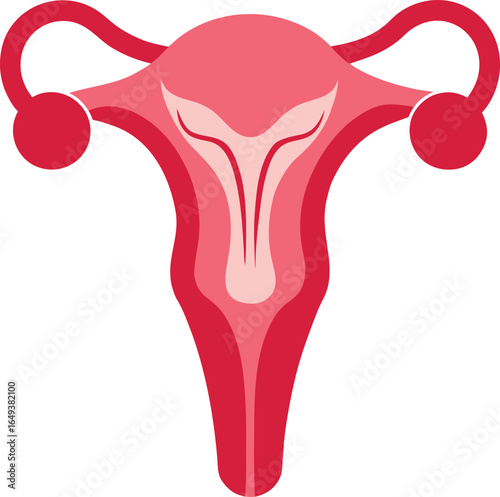 Female Reproductive System vector Icon