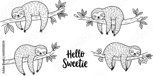 Sleeping sloth on the branch. Vector illustration with bear, leaves, flowers and lettering Hello Sweetie on white background. 