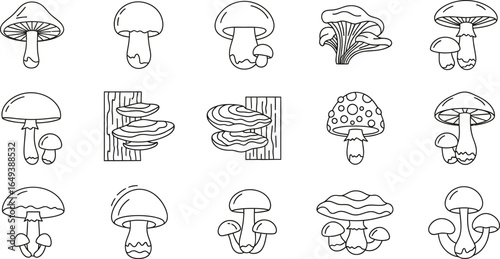 Set of vector line icons of mushrooms fungus, nature, food, forest, plant, organic, ingredient, autumn, wild, edible, natural