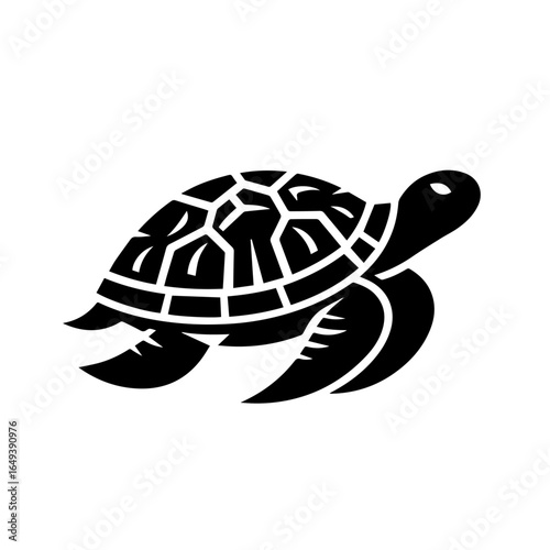 turtle vector illustration