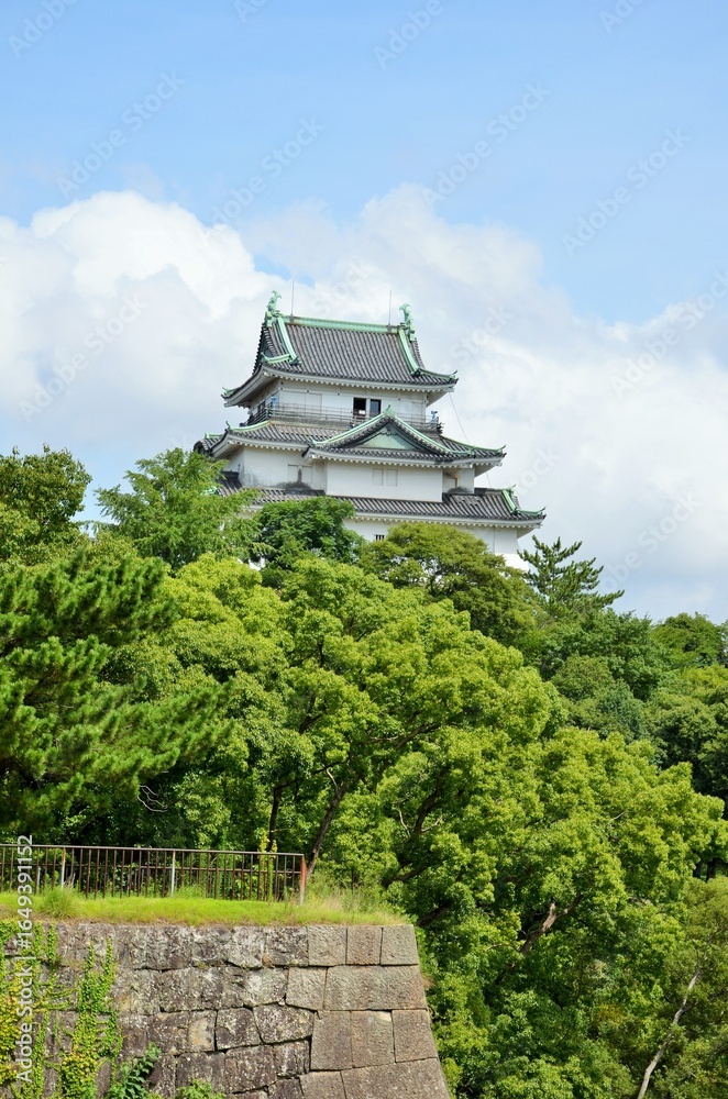 Obraz premium 和歌山城 天守閣