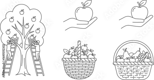 Collection of outline illustrations depicting apple trees, hands holding apples, and baskets filled with fruits